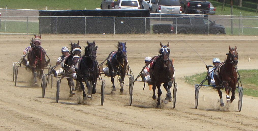 Harness racing at the fair
